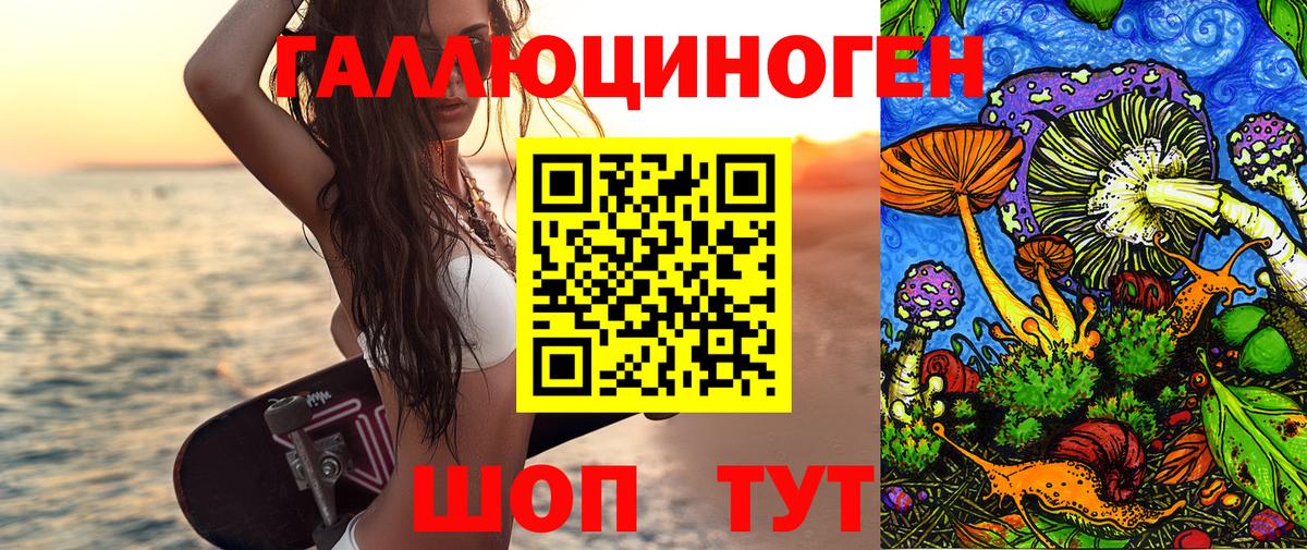Горячий Ключ  Галлюциногенные грибы GOLDEN TEACHER  что такое наркотик  Вход с VPN  Псилоцибиновые грибы MAGIC MUSHROOMS 