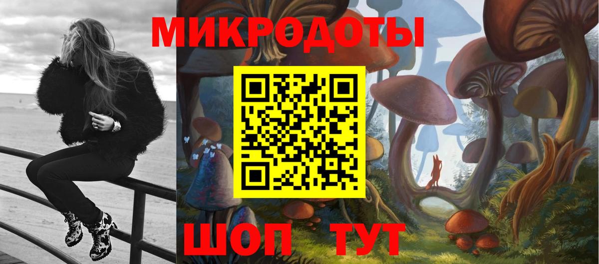 Галлюциногенные грибы Psilocybine cubensis Горячий Ключ